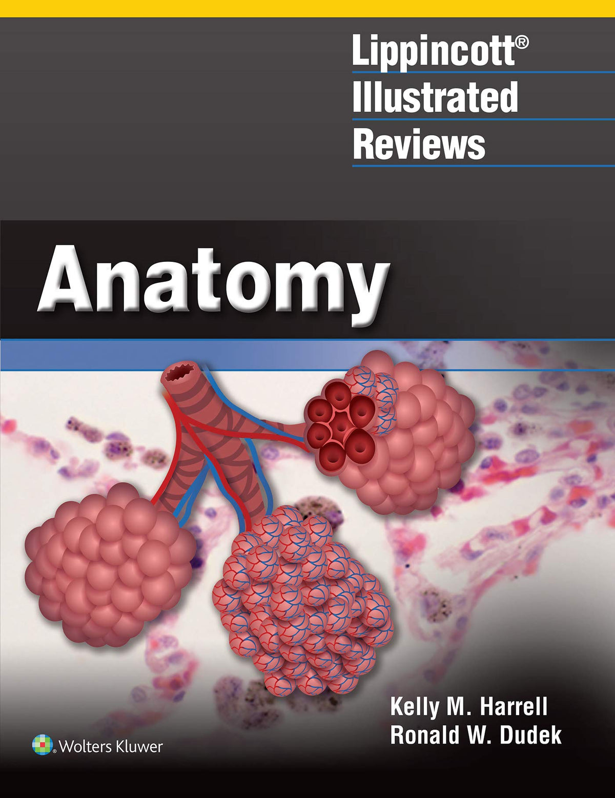 Lippincott® Illustrated Reviews: Anatomy (Lippincott Illustrated Reviews Series)