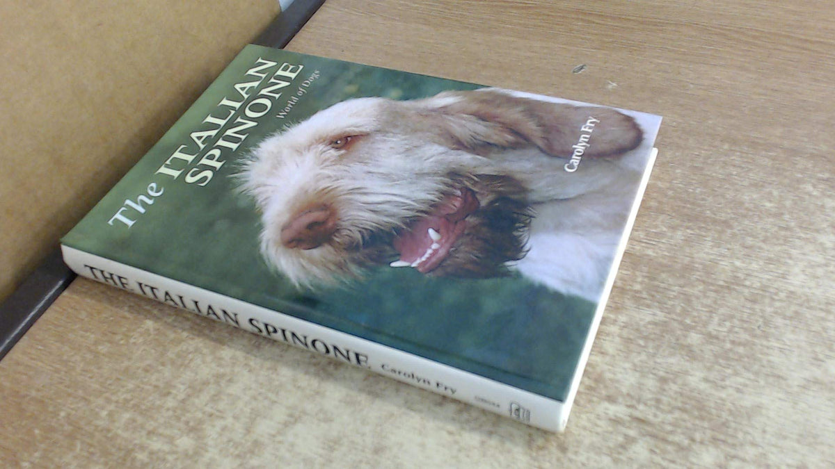 The Italian Spinone