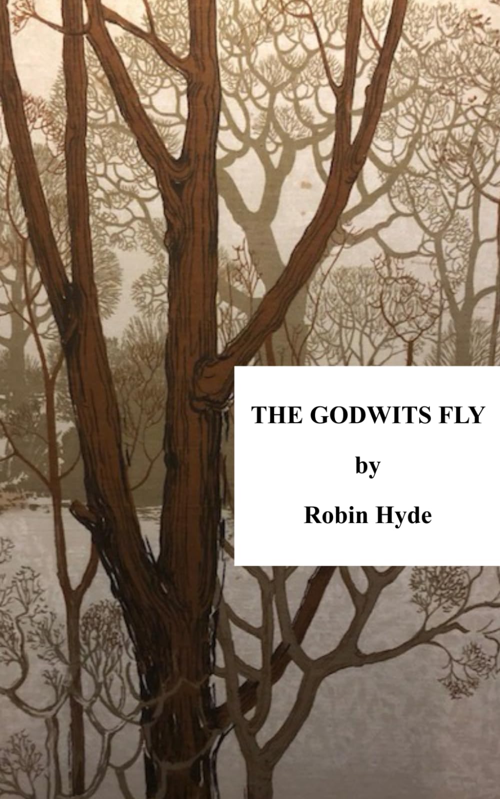 The Godwits Fly