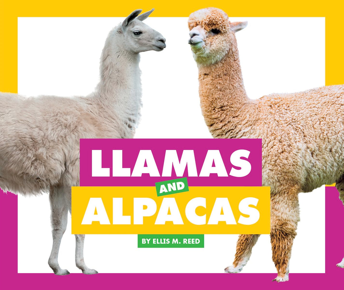 Llamas and Alpacas (Comparing Animal Differences)