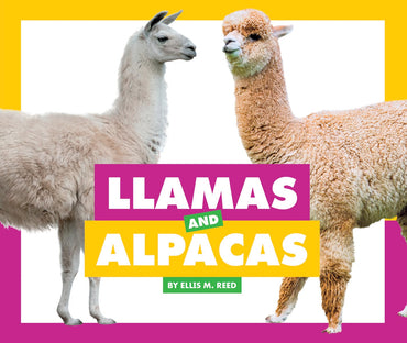Llamas and Alpacas (Comparing Animal Differences)