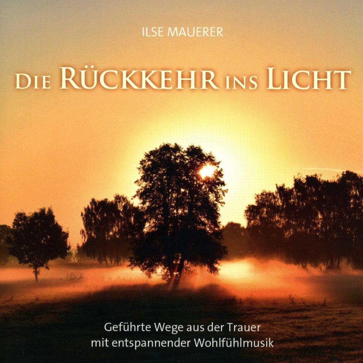 DIE RUECKKEHR INS LICHT - MAUE