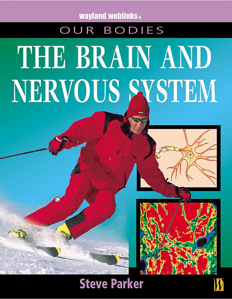 Our Bodies: Brain and Nervous System