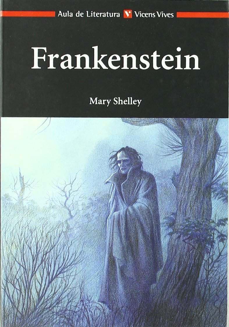 Frankenstein - Aula De Literatura (Spanish Edition)
