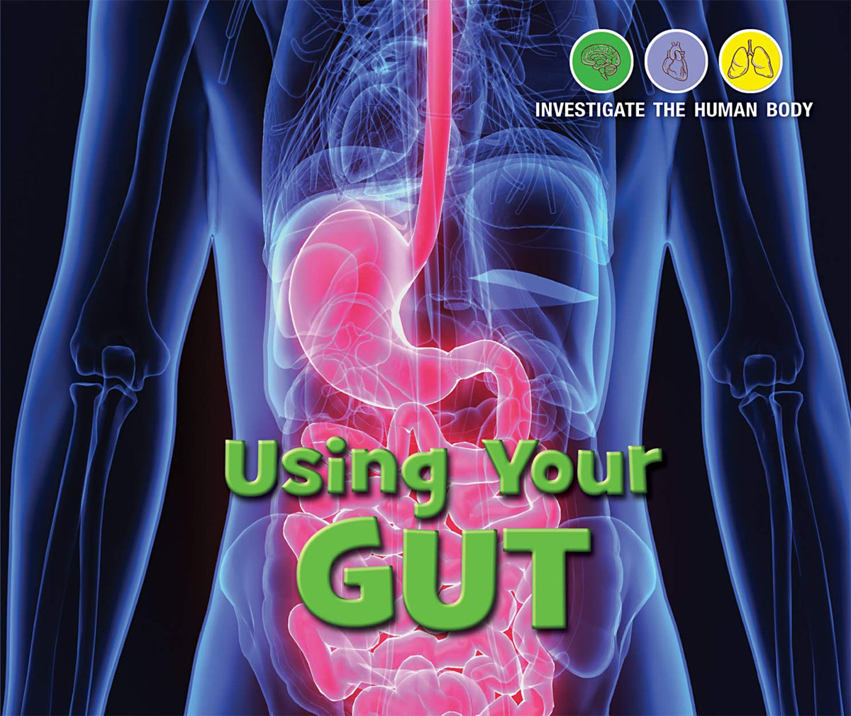 Using Your Gut (Investigate the Human Body)