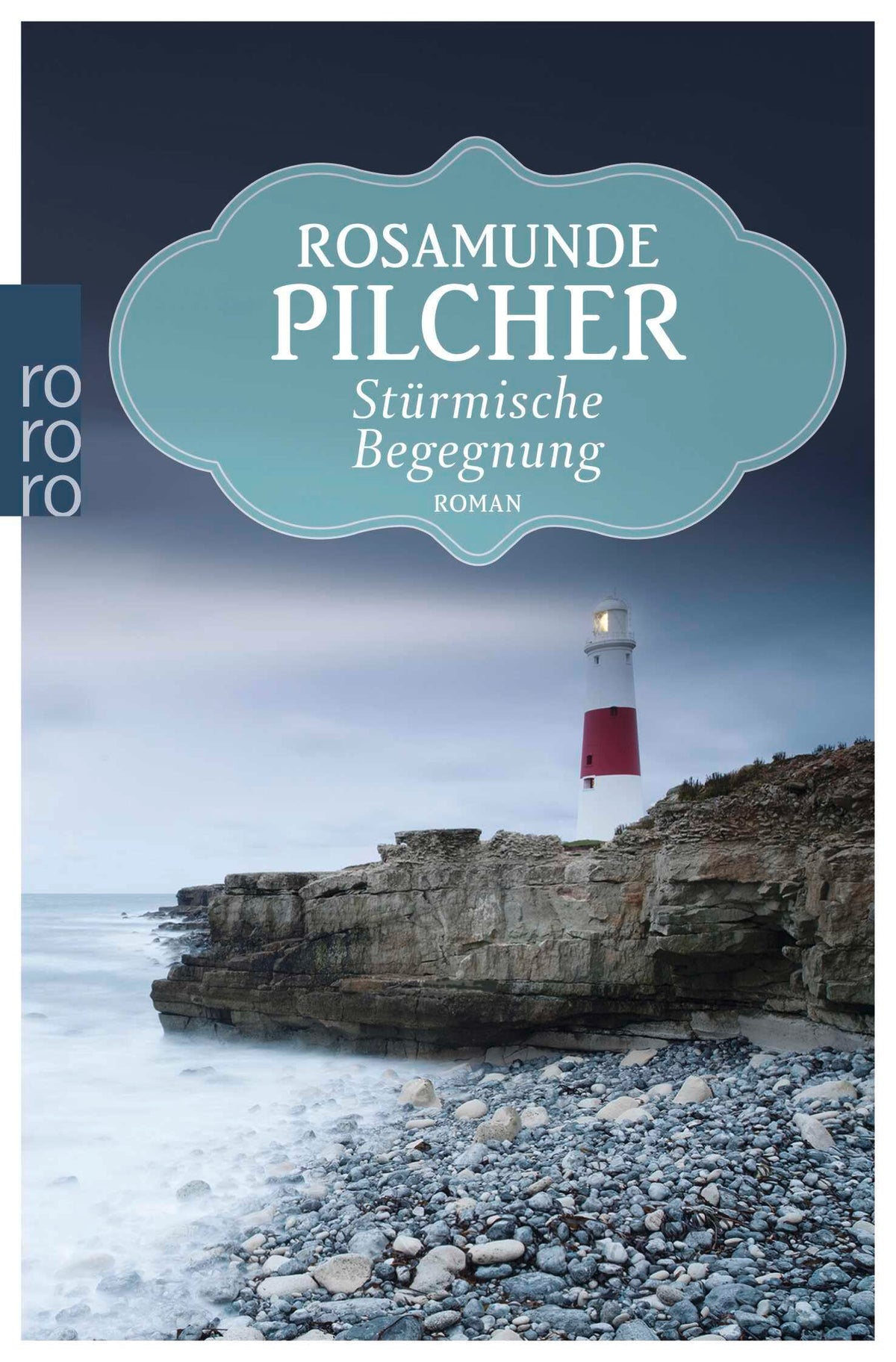Stürmische Begegnung (rororo Taschenbücher)