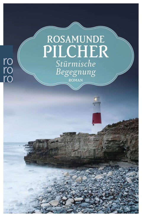 Stürmische Begegnung (rororo Taschenbücher)
