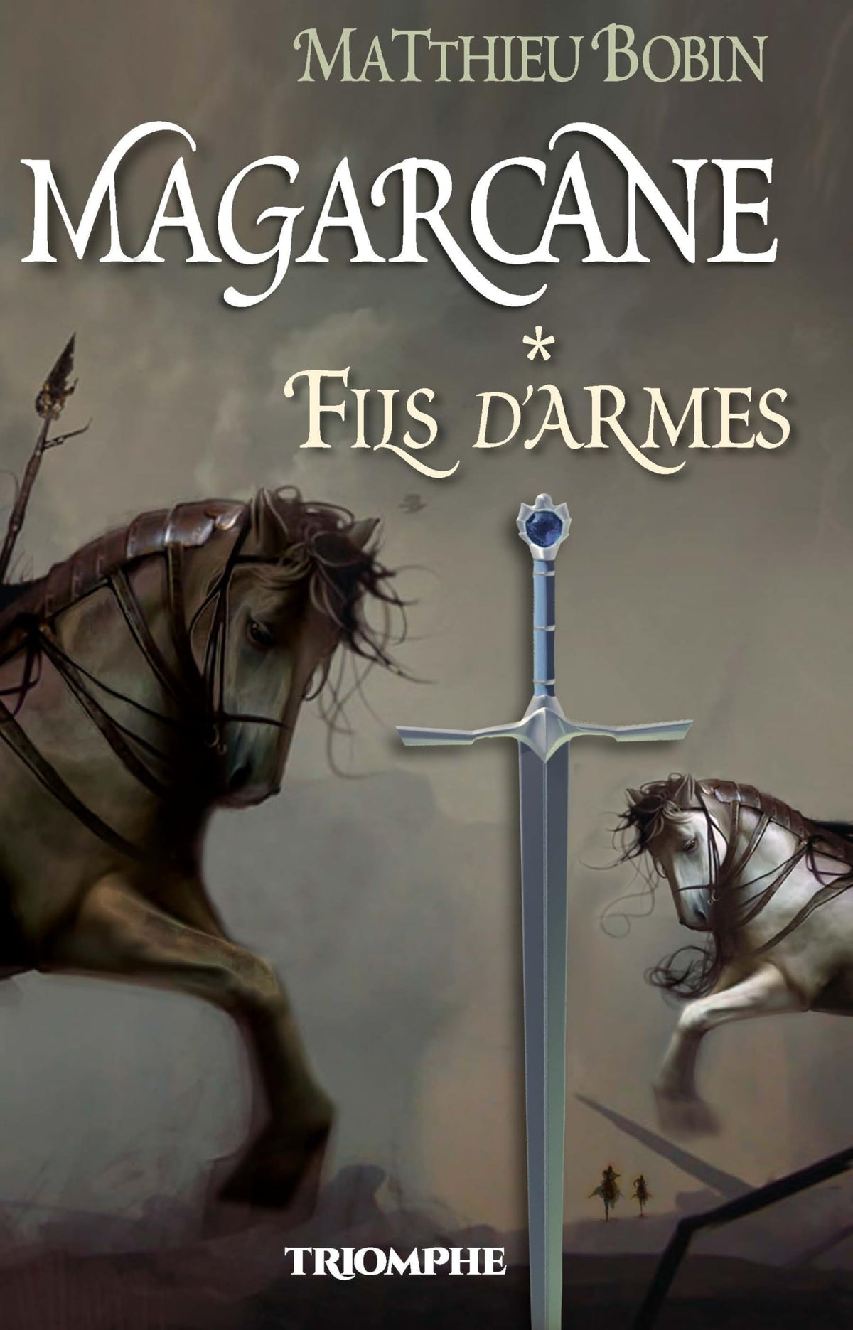 Magarcane tome 1 - Fils d'Armes