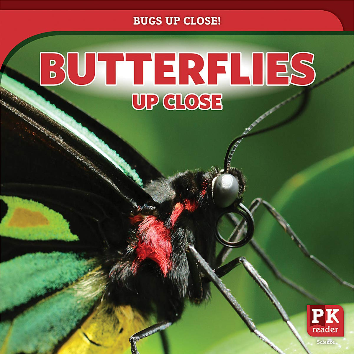Butterflies Up Close (Bugs Up Close!)