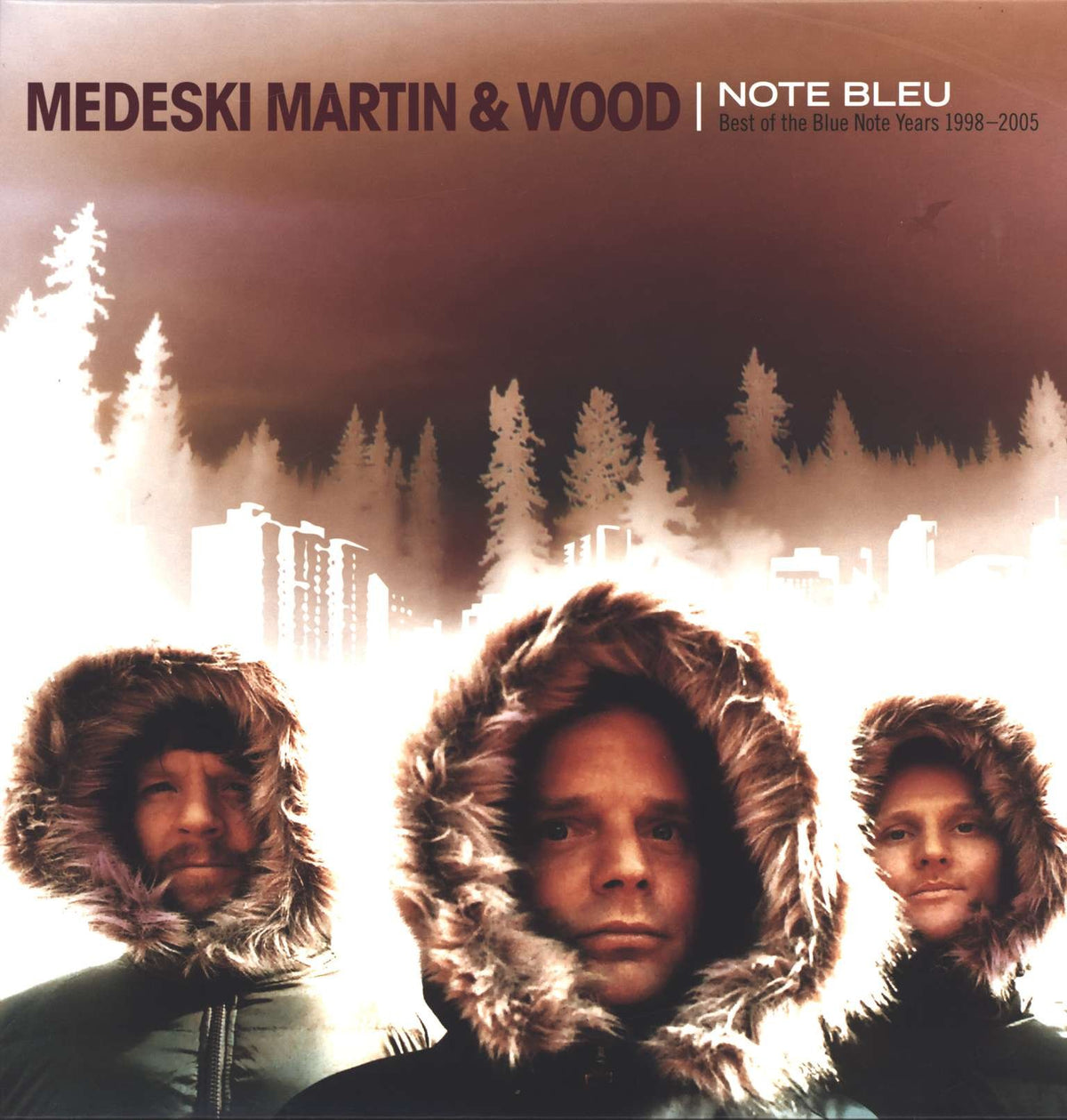 Note Bleu: The Best of the Blue Note Years 1998-2005 [Vinyl]