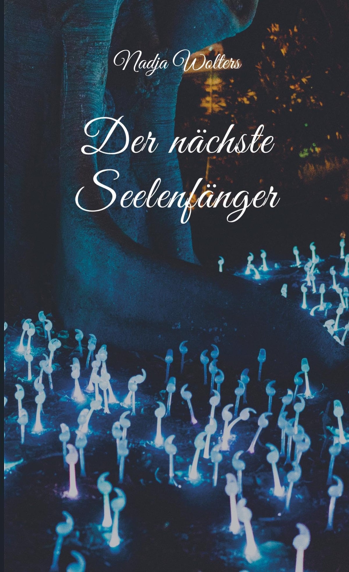 Der nächste Seelenfänger (German Edition)