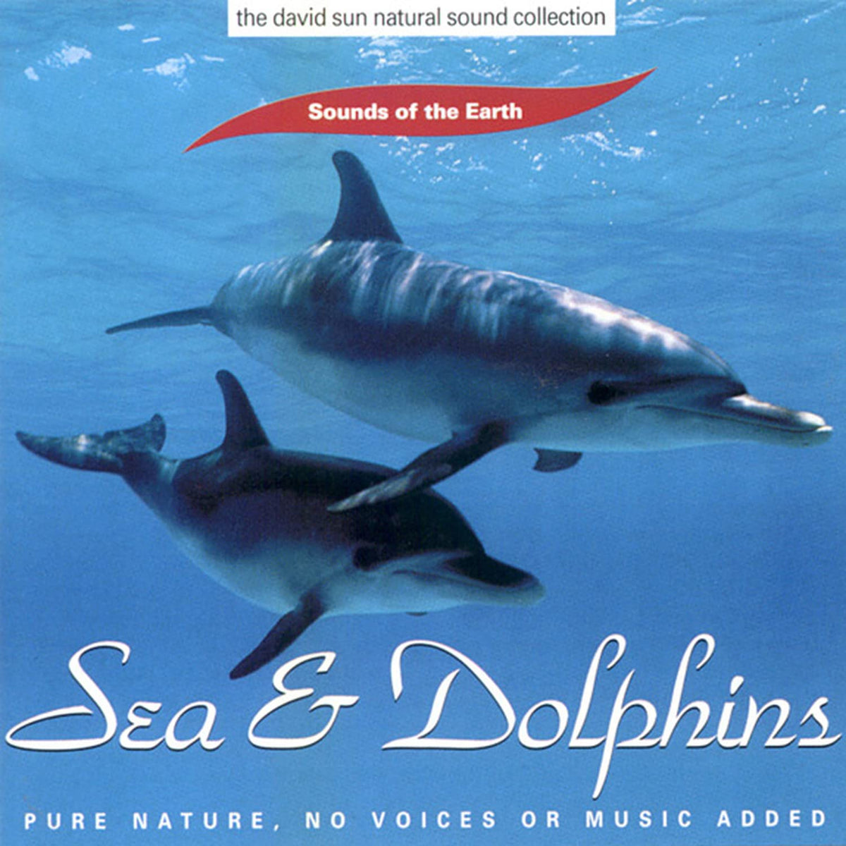 Sea & Dolphins