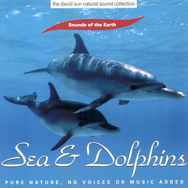 Sea & Dolphins