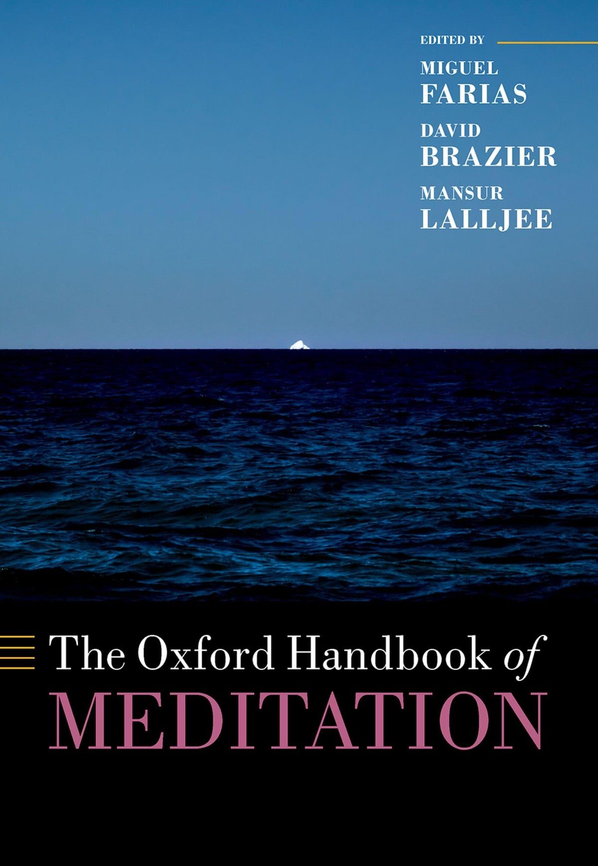 The Oxford Handbook of Meditation (Oxford Library of Psychology)