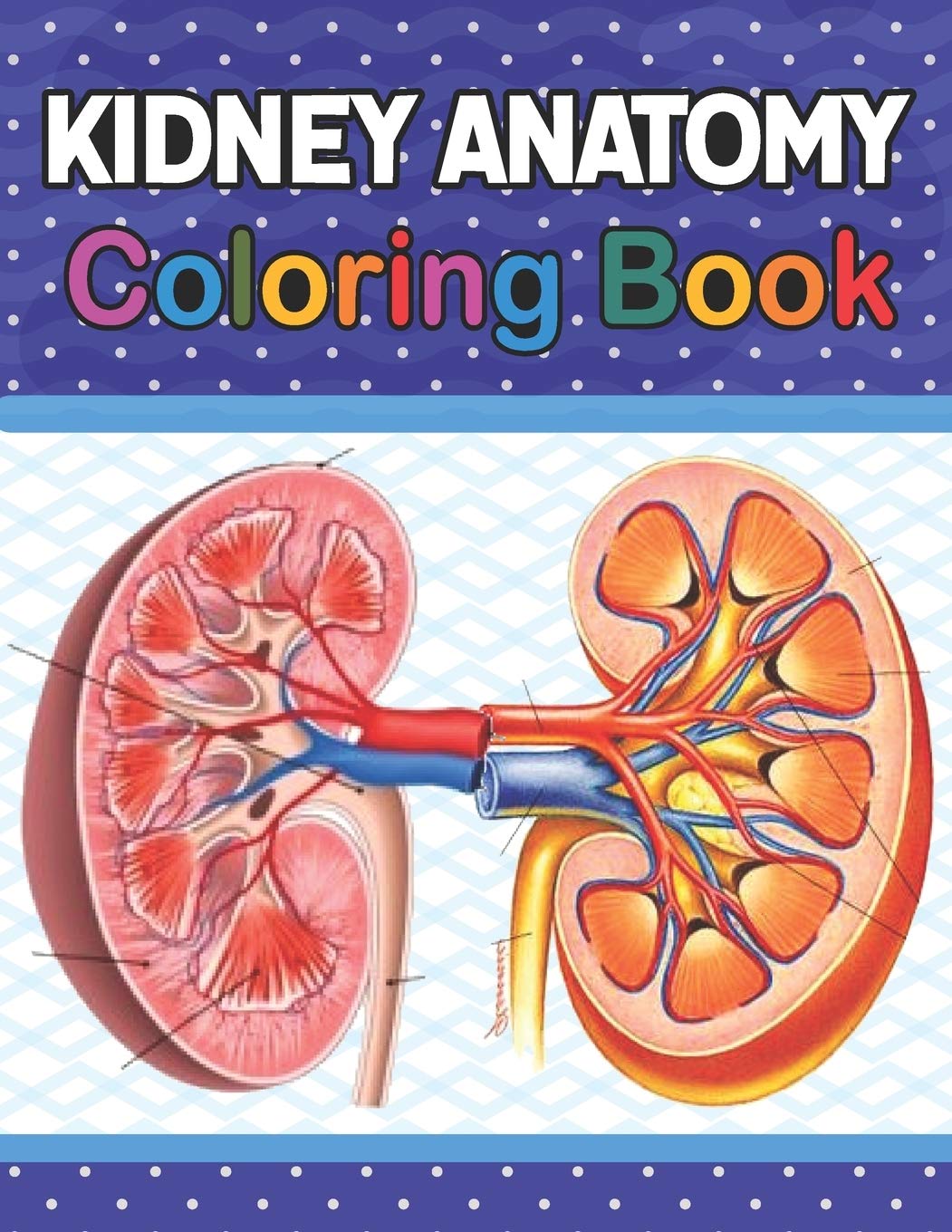 Kidney Anatomy Coloring Book: Human Kidney Coloring & Activity Book for Kids.An Entertaining And Instructive Guide To Th