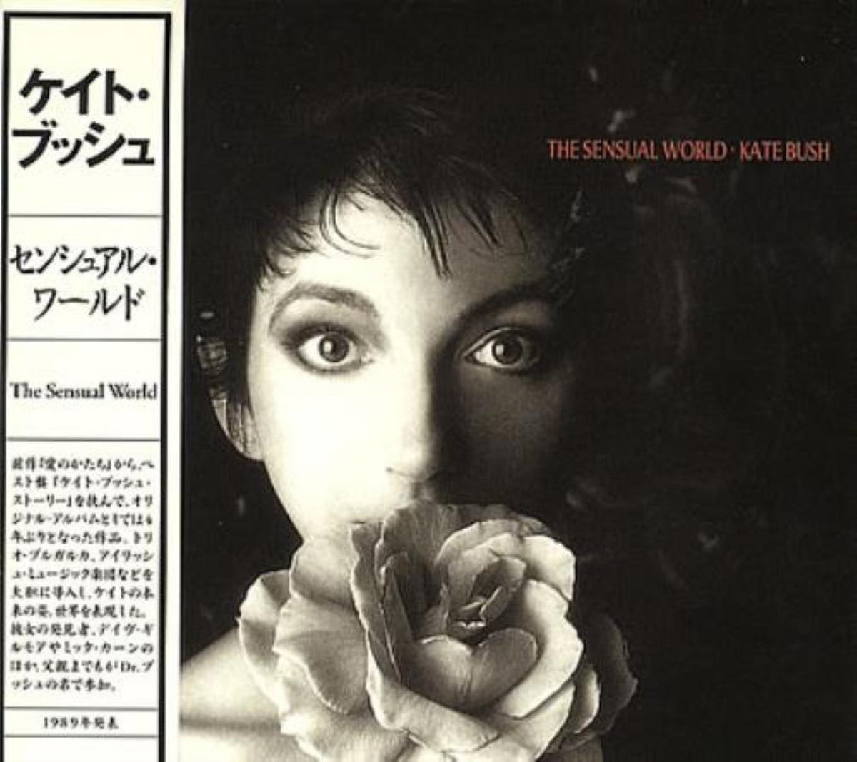 Sensual World