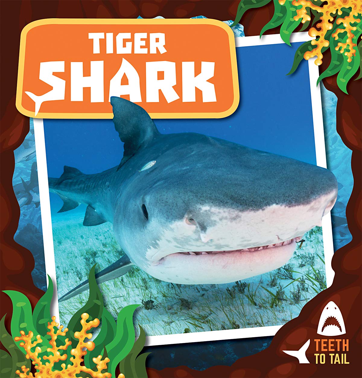 Tiger Shark (Teeth to Tail)