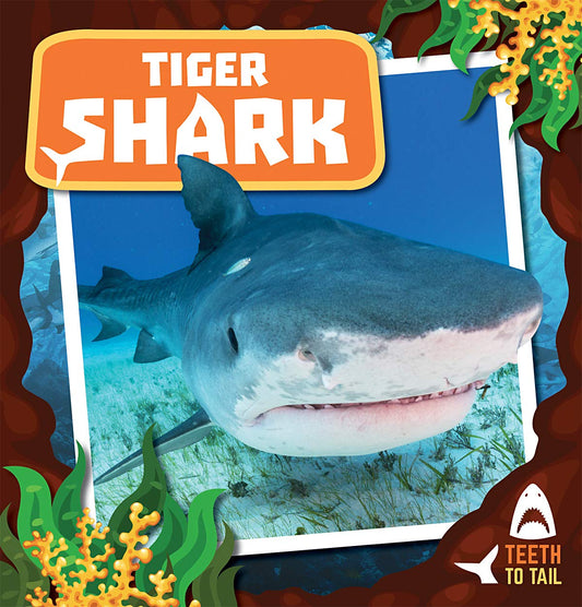 Tiger Shark (Teeth to Tail)