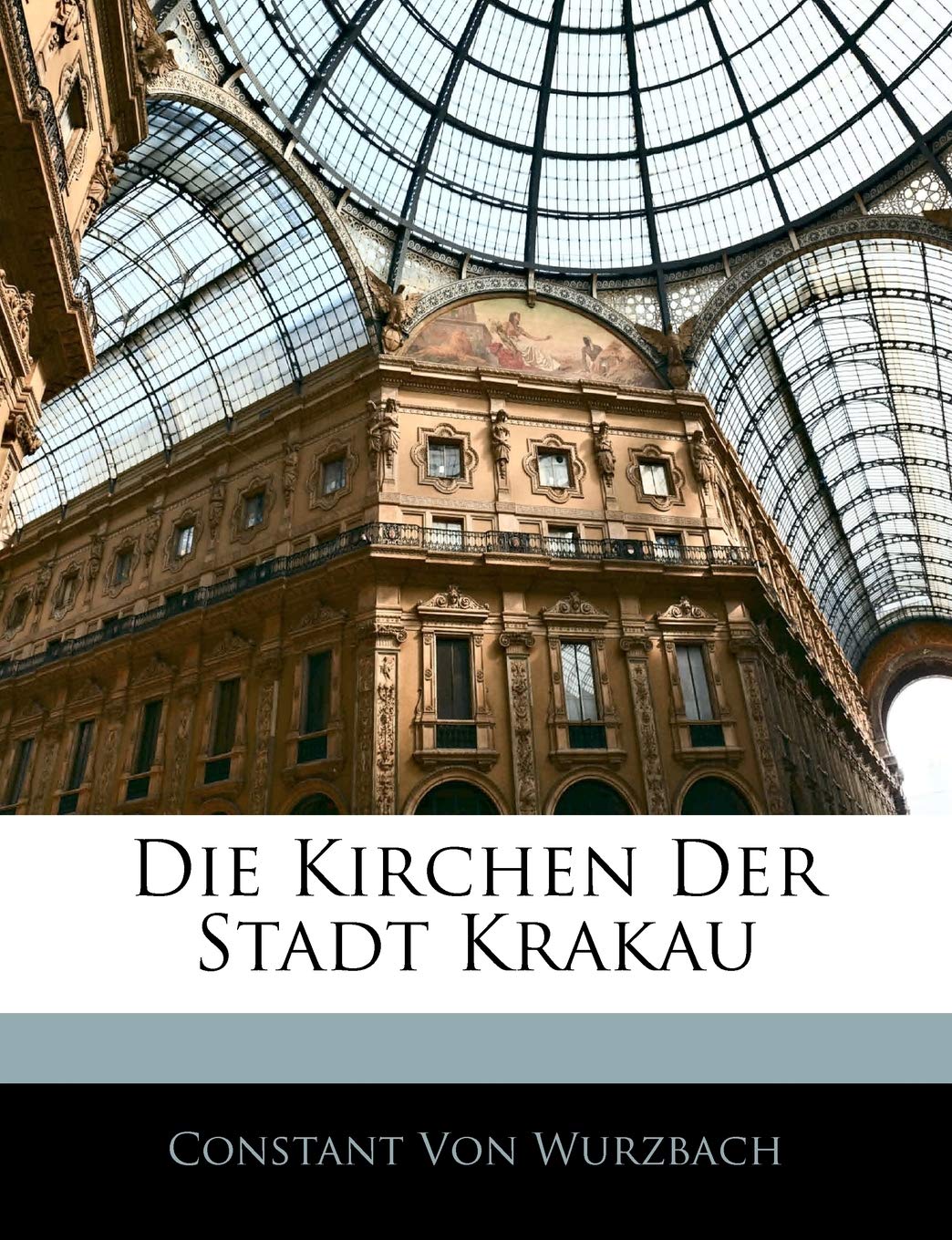 Die Kirchen Der Stadt Krakau (German Edition)