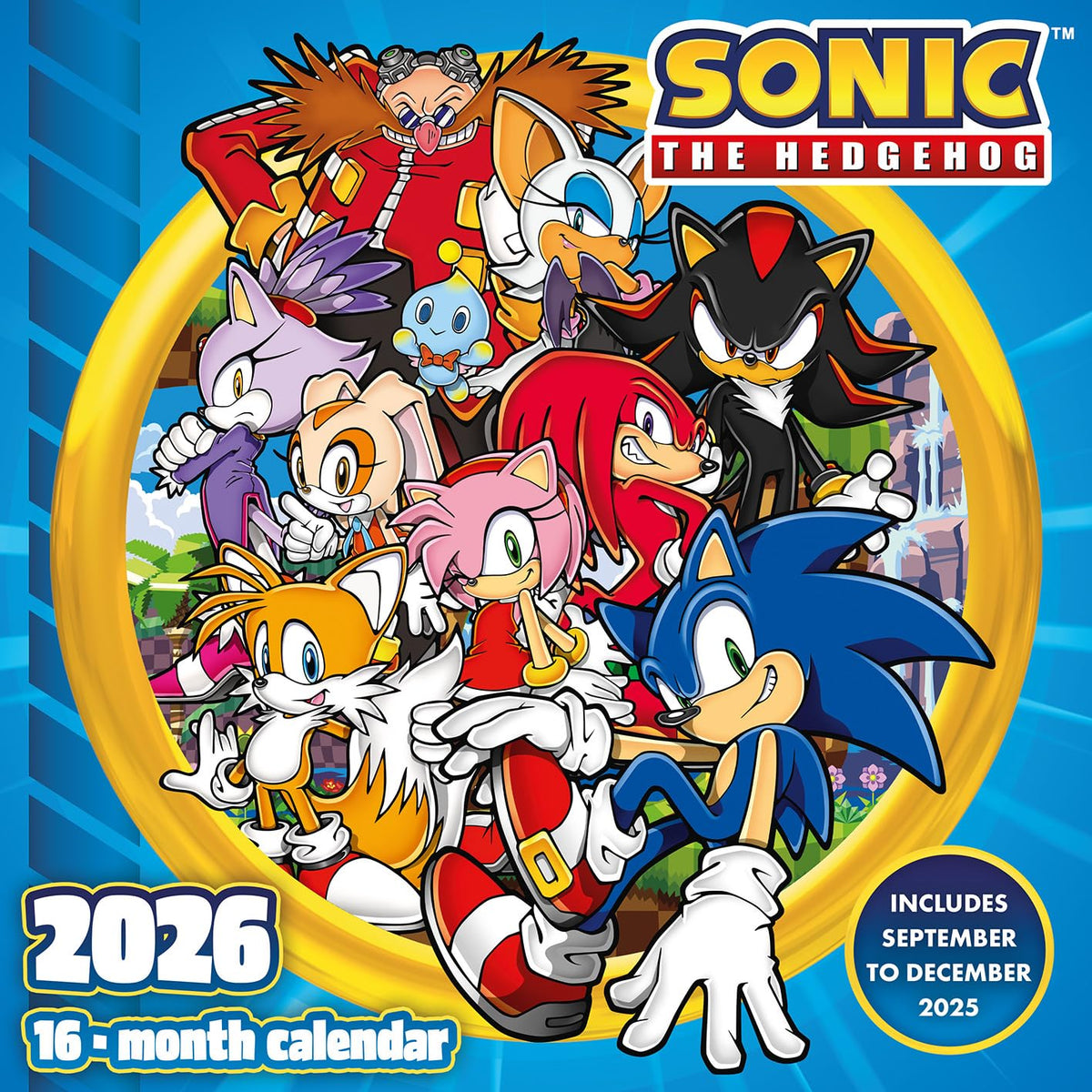 Sonic The Hedgedog Brochure Calendar 30 x 30 cm