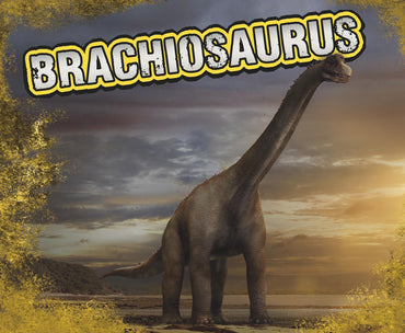 Brachiosaurus (Pebble Plus: Dinosaurs)