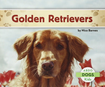 Golden Retrievers (Dogs Set 1)