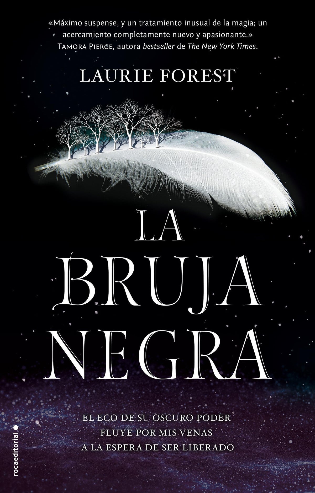 La bruja negra / The Black Witch (LAS CRÓNICAS DE LA BRUJA NEGRA / THE BLACK WITCH CHRONICLES) (Spanish Edition)