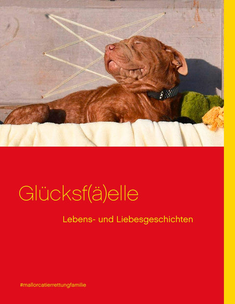 Glücksf(ä)elle: #mallorcatierrettungsfamilie