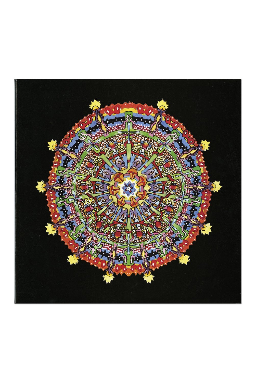 HISSING FAUNA, ARE YOU THE DES [Vinyl]