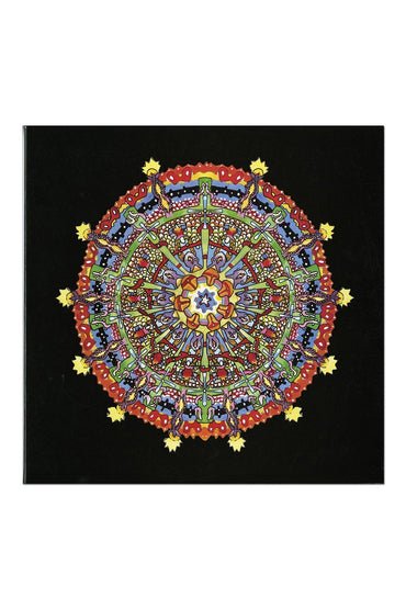 HISSING FAUNA, ARE YOU THE DES [Vinyl]