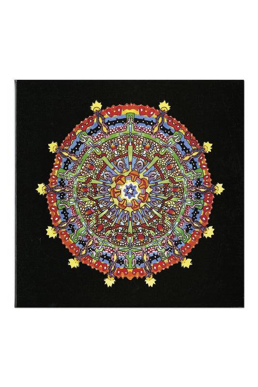 HISSING FAUNA, ARE YOU THE DES [Vinyl]