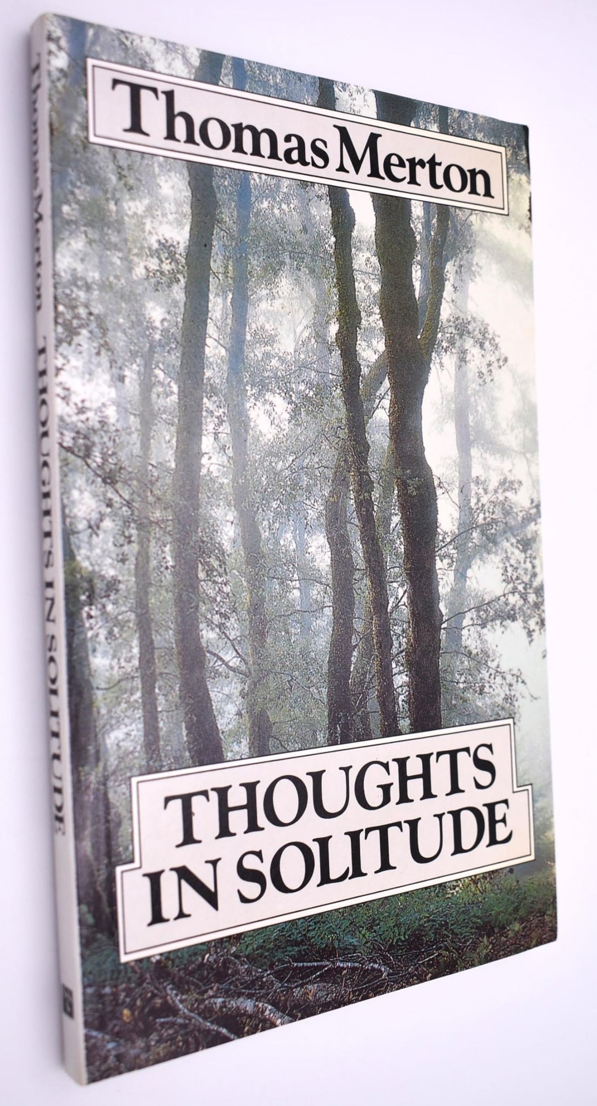 Thoughts in Solitude