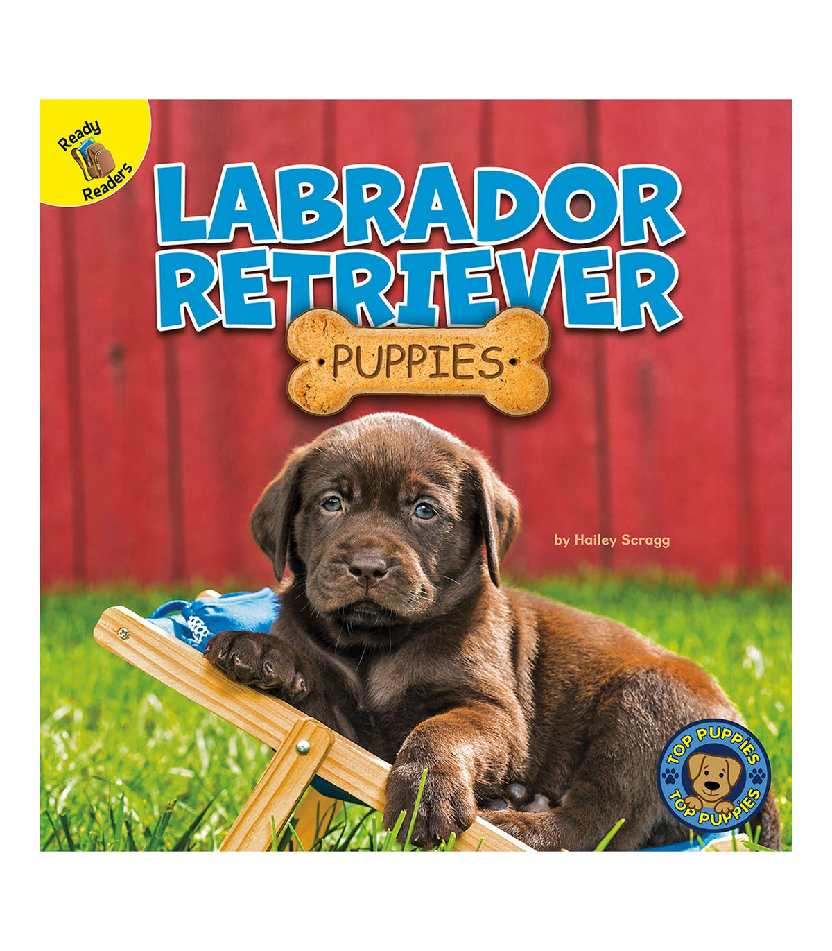 Rourke Educational Media Top Puppies: Labrador Retriever Puppies―Children's Book About Labs, Preschool-Grade 2 (16 pgs) Reader