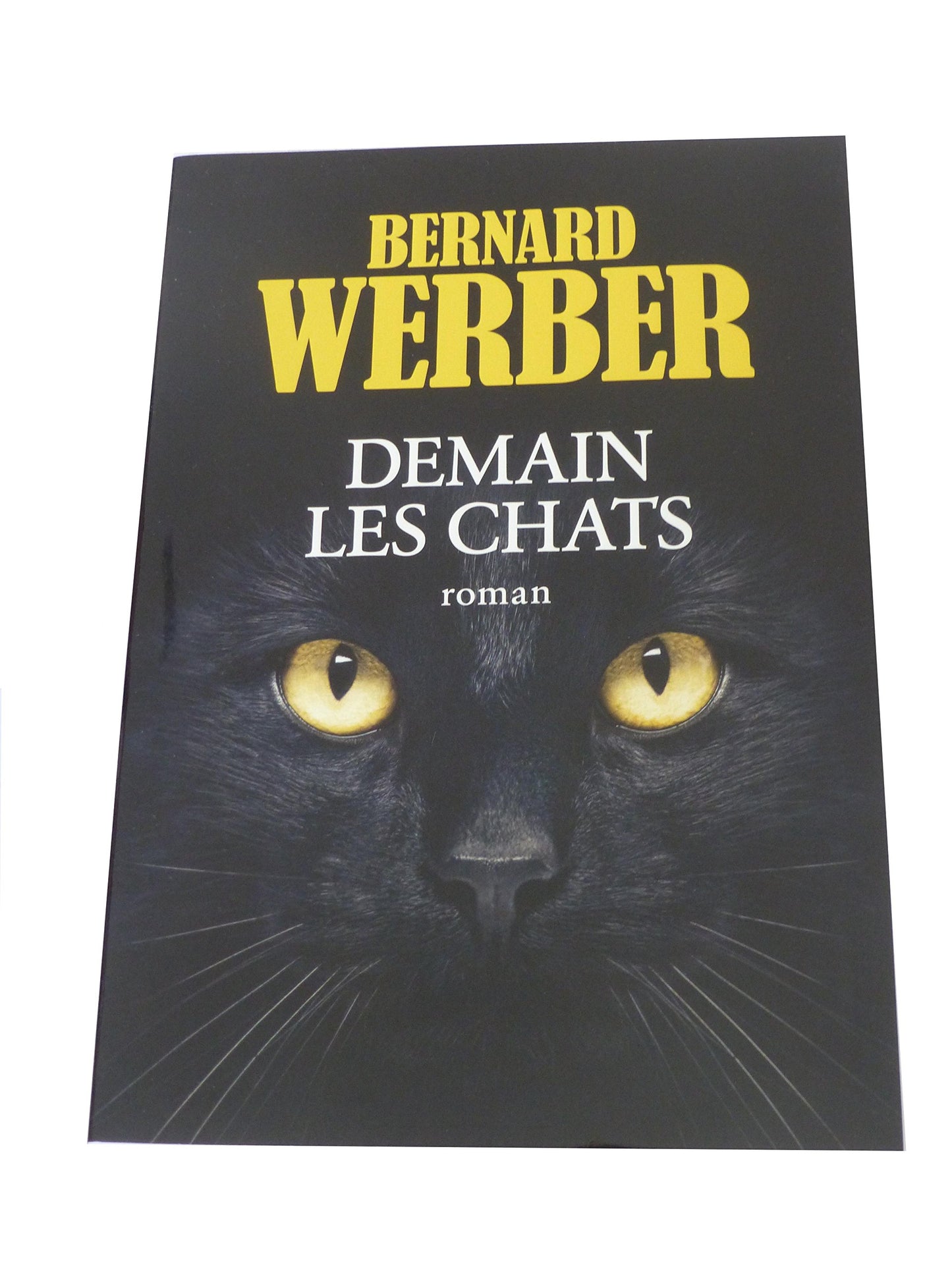 Demain les chats