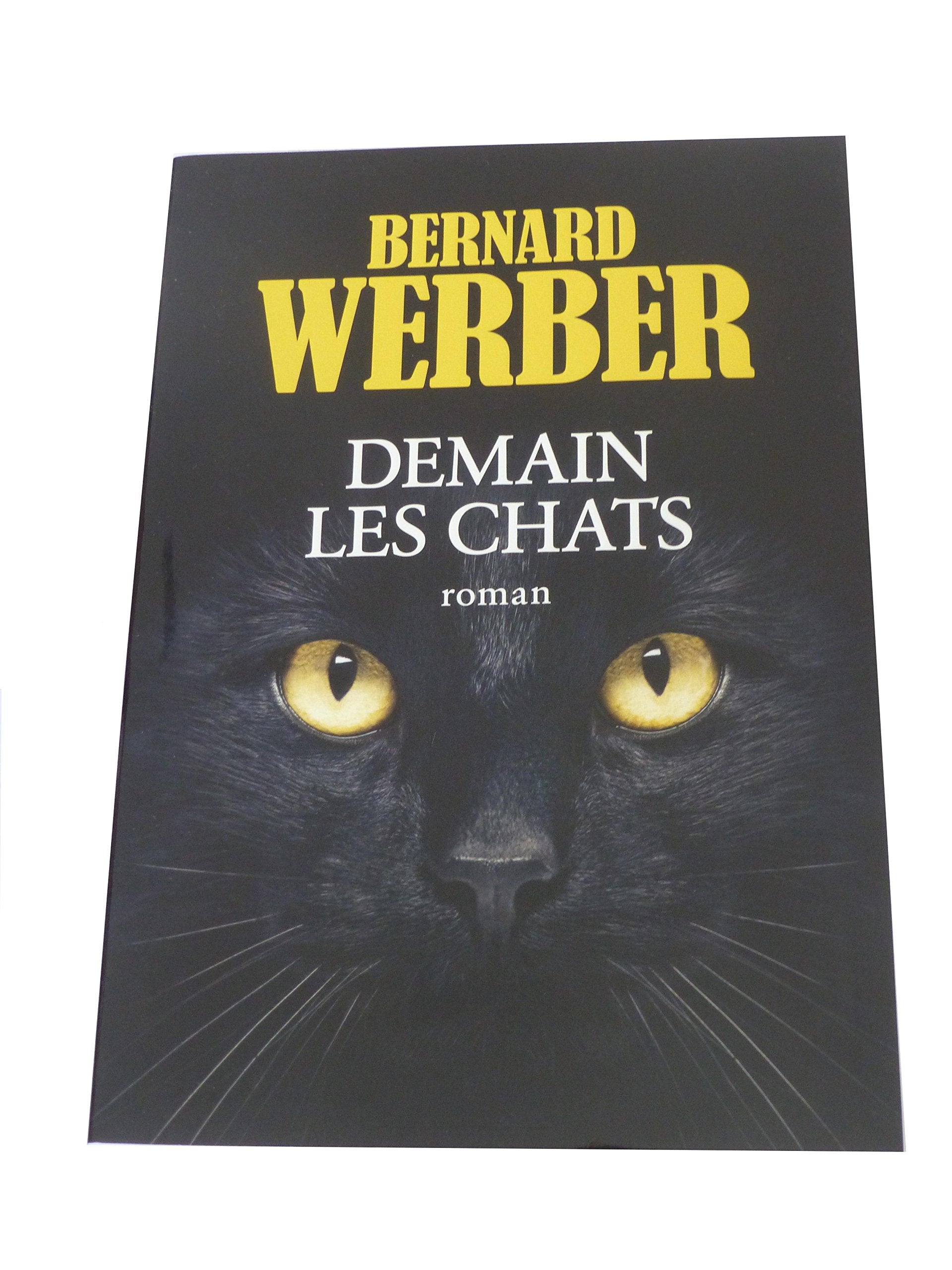 Demain les chats