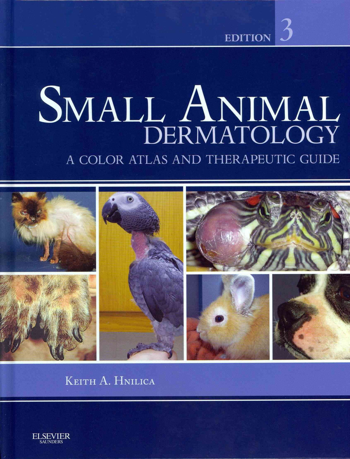 Small Animal Dermatology: A Color Atlas and Therapeutic Guide