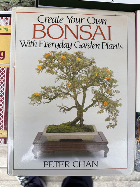 Create Your Own Bonsai with Everyday Garden Plants
