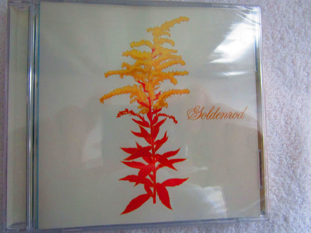 Paintings for Prophets by Goldenrod