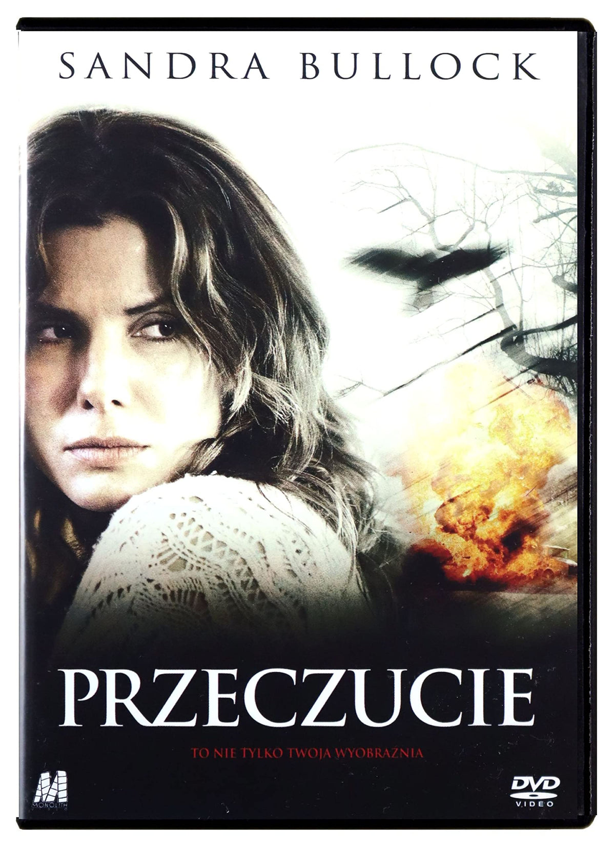 Premonition [DVD] (English audio)