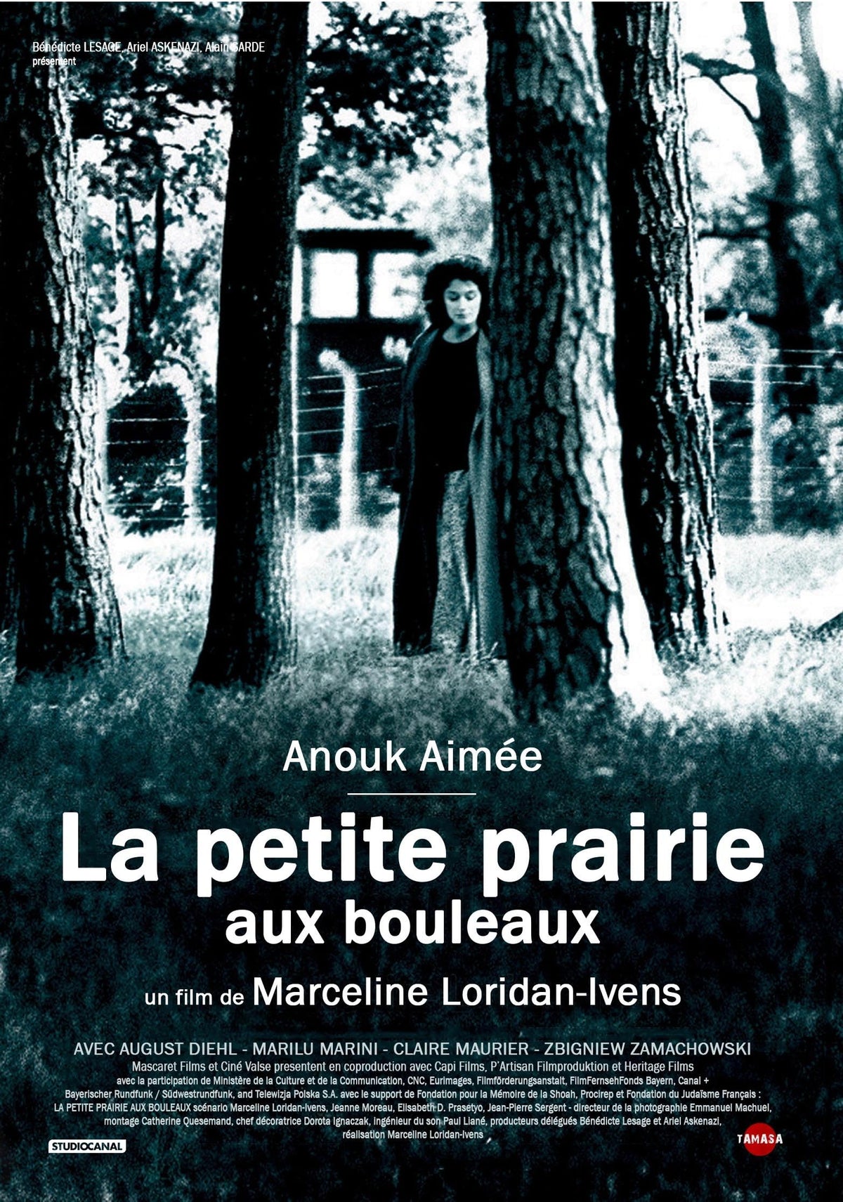 La petite prairie aux bouleaux