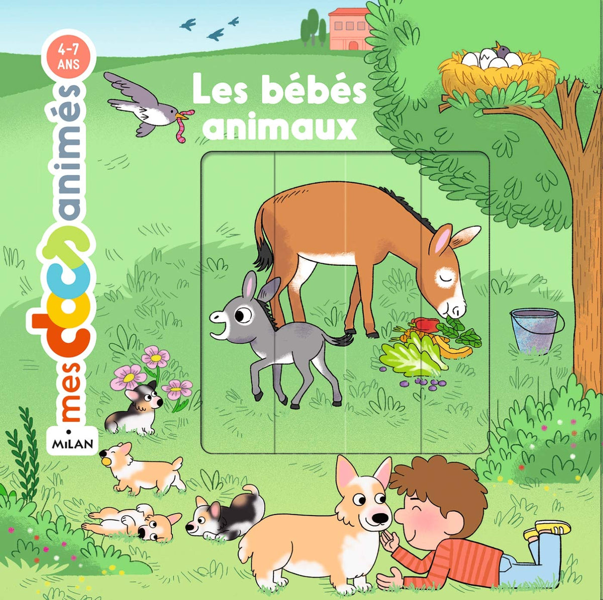 Les bébés animaux (Mes docs animés)