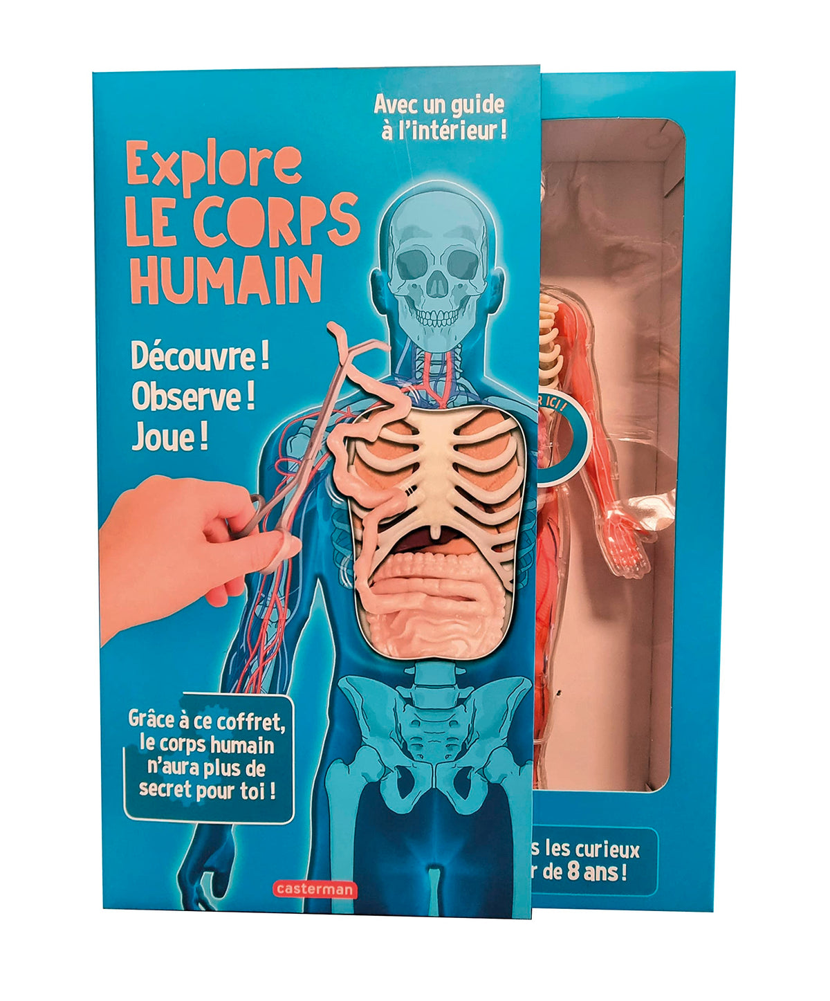 Explore le corps humain !