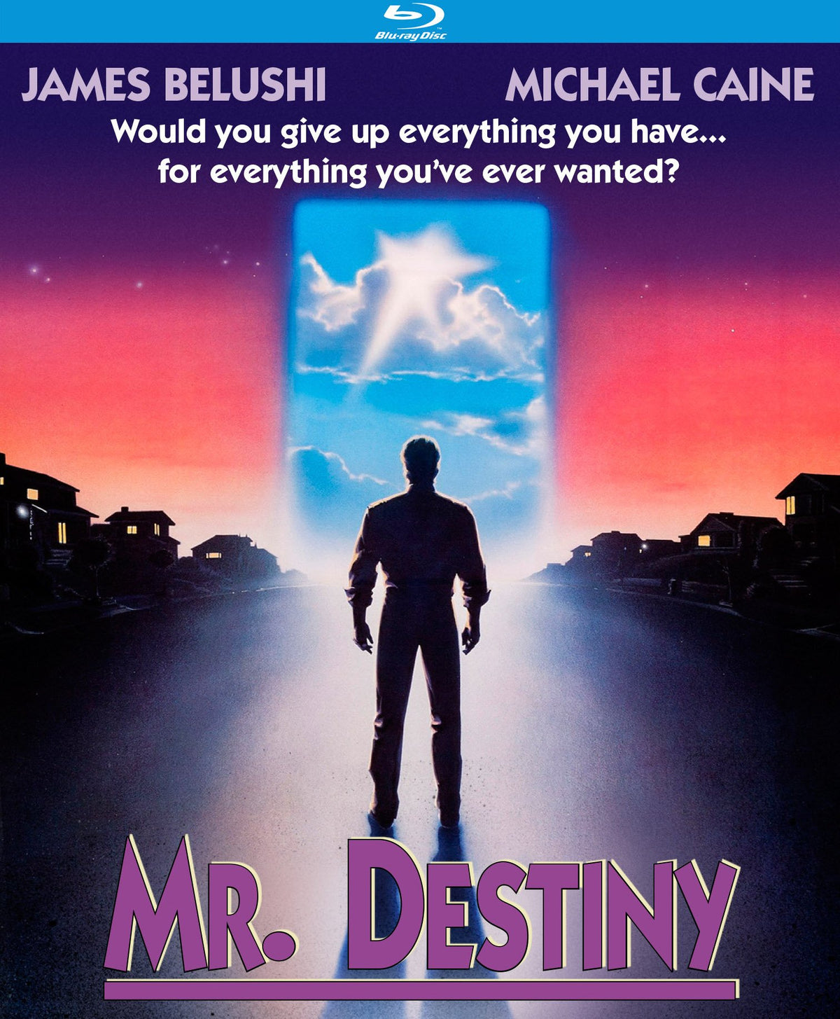 Mr. Destiny [Blu-ray]
