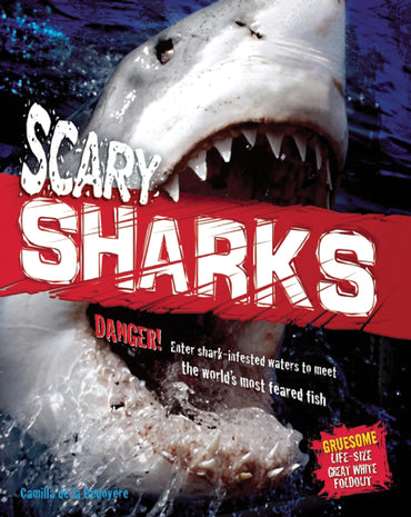 Scary Sharks (Animal Attack!)
