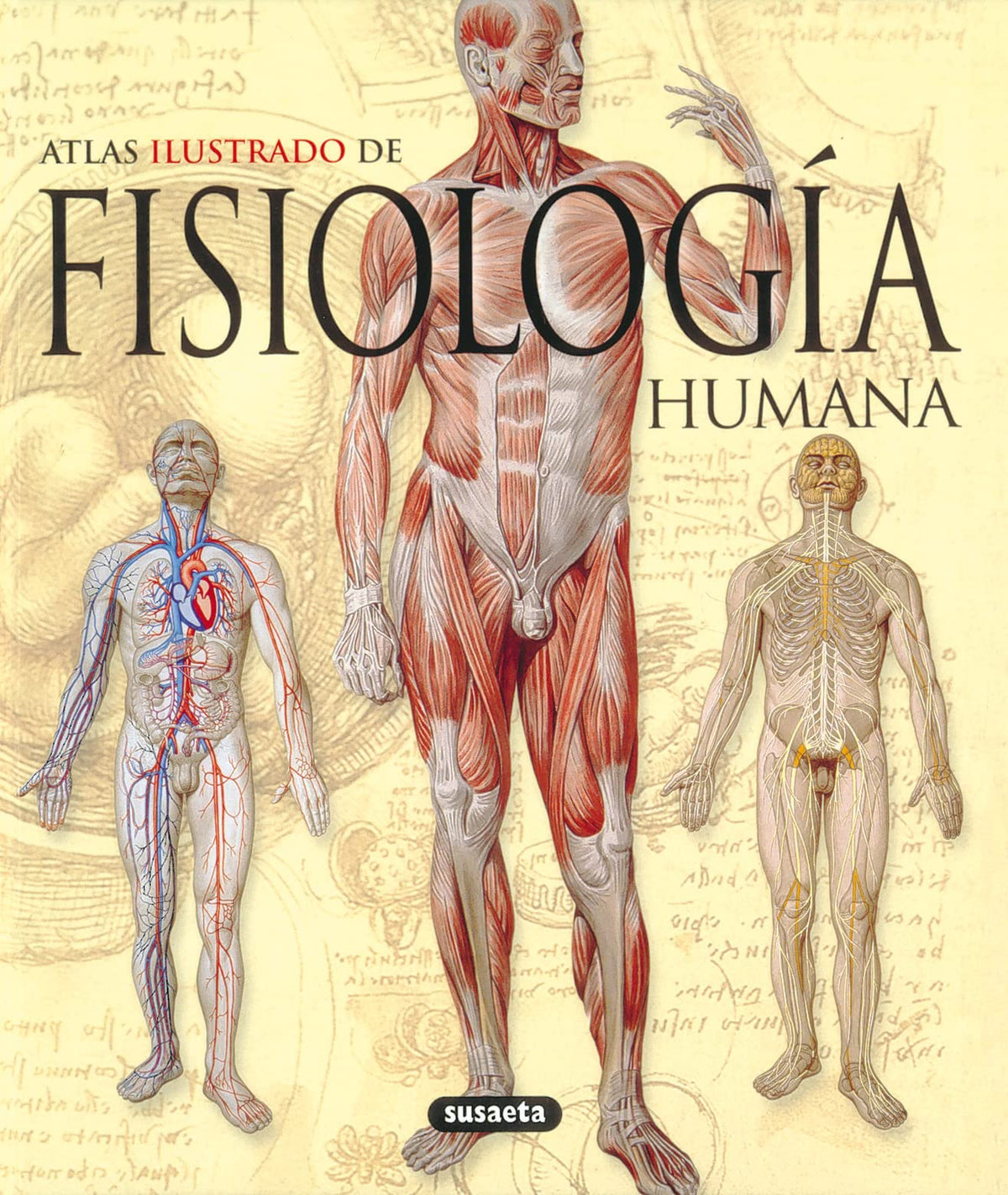 Fisiología humana (Atlas Ilustrado/ Illustrated Atlas) (Spanish Edition)