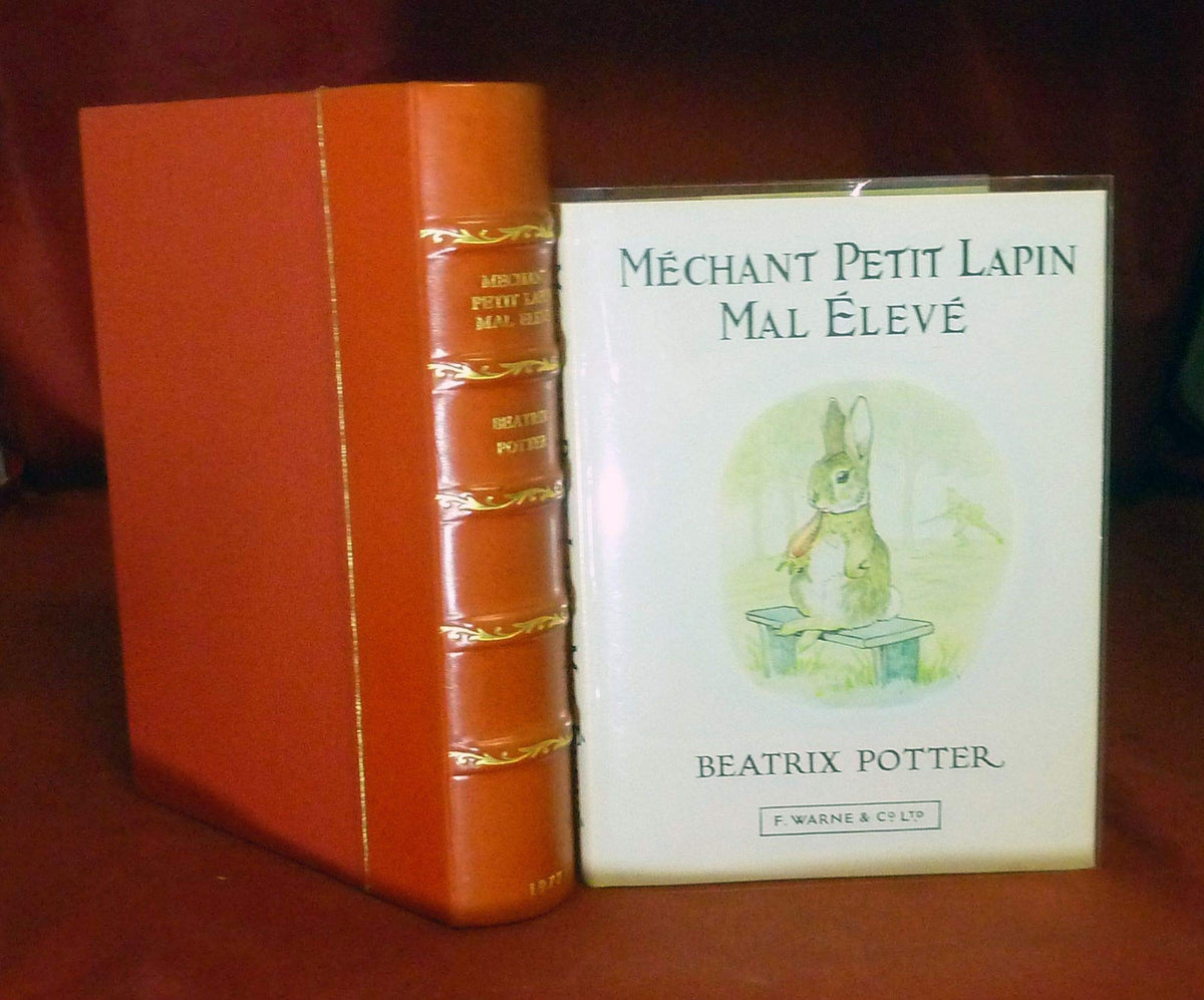 Mechant Petit Lapin (French Edition)