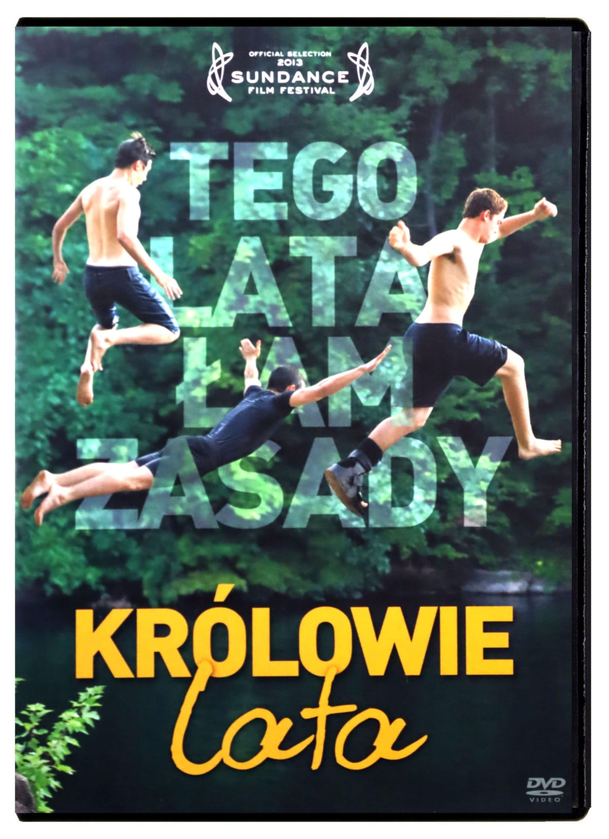 The Kings of Summer [DVD] (English audio)