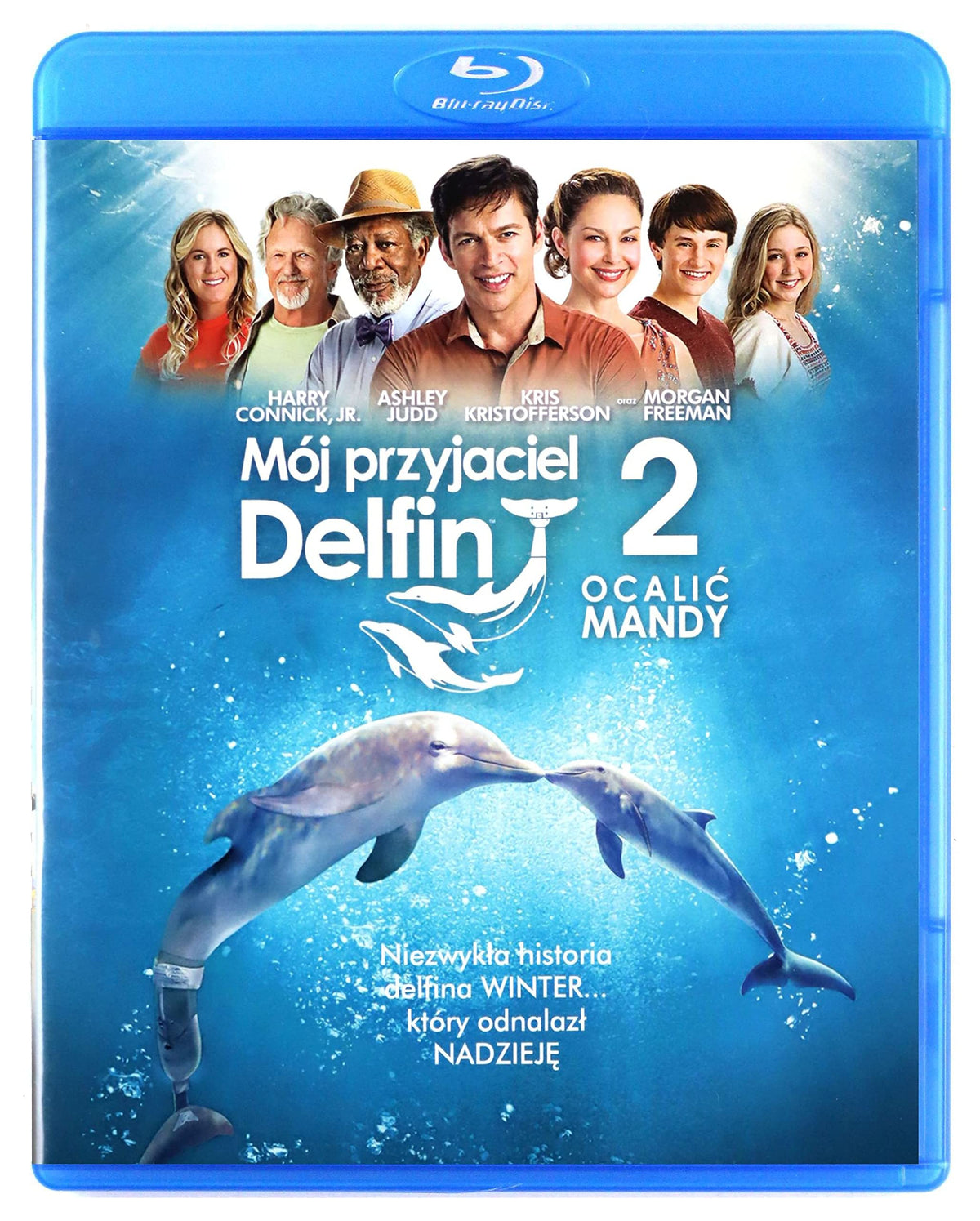 Dolphin Tale 2 [Blu-Ray] (English audio. English subtitles)
