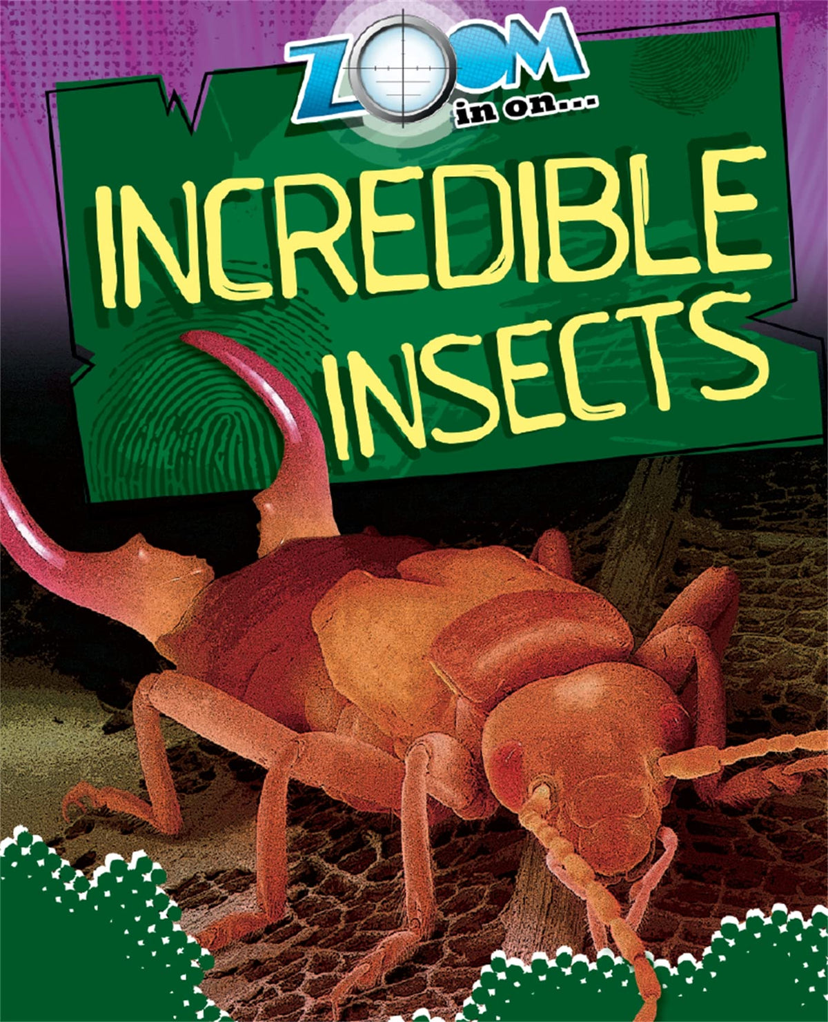 Incredible Insects (Zoom in On)