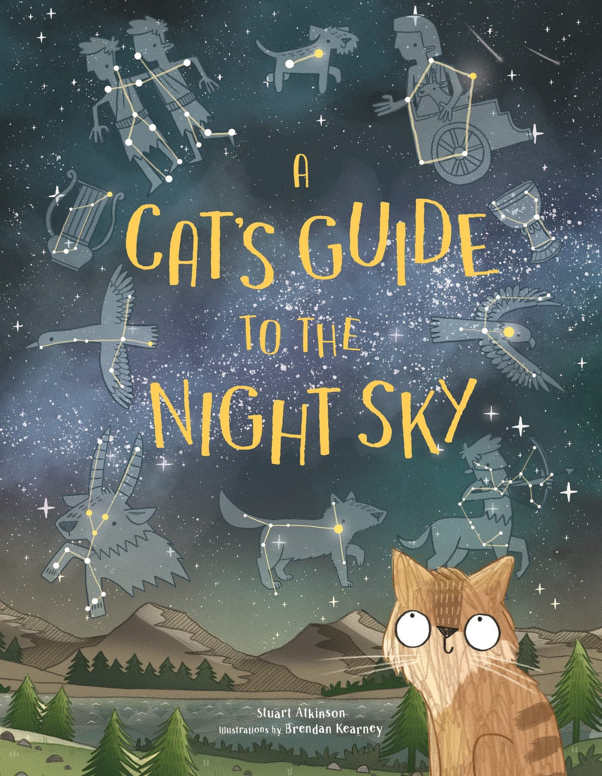 A Cat's Guide to the Night Sky /anglais